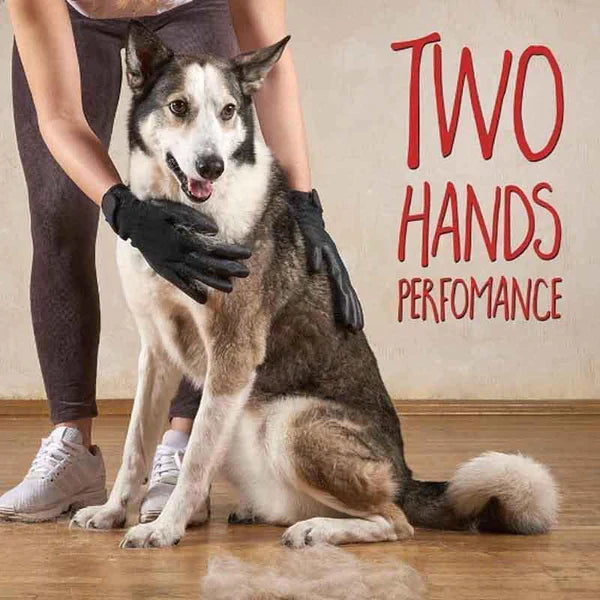 Gloves For Cats, Dogs & Horses (1 pair) at $21.47 from Truemartin