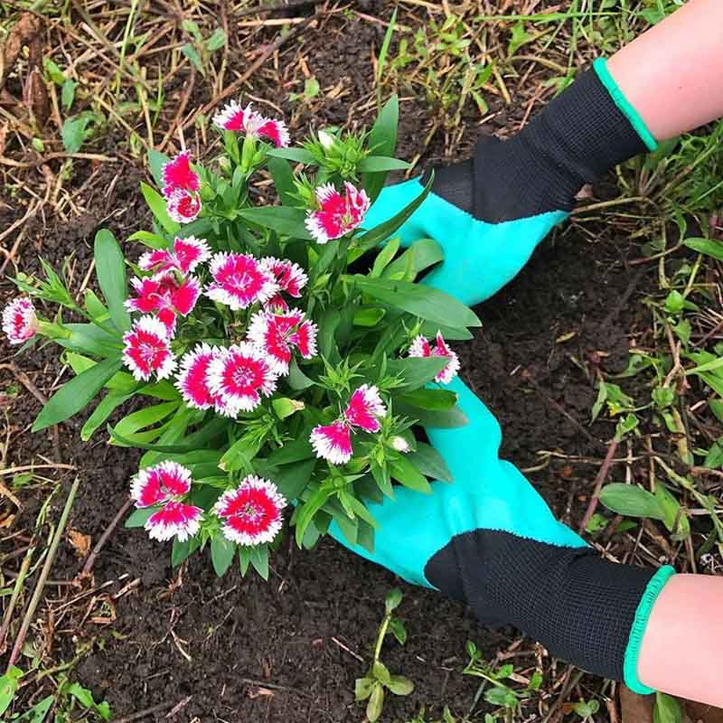 Garden gloves at $18.97 from Truemartin