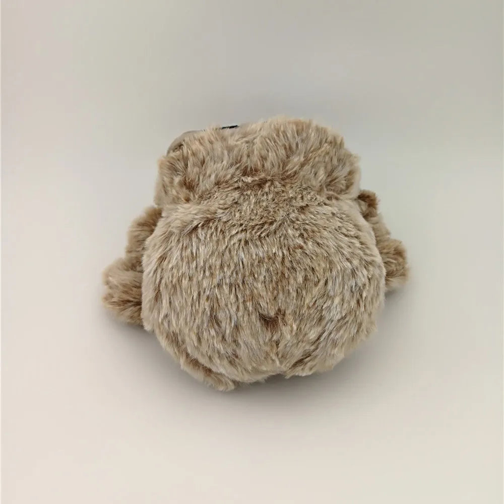 Cute Little Spider Soft Plush Toys at $12.47 only from Truemartin
